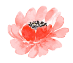 fleur