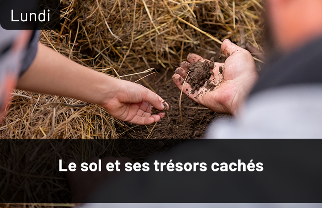 perma_terre