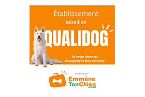 qualidog