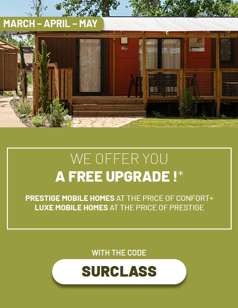 OFFRE_page-offre_surclass-ANG offre-surclass-uk<br />